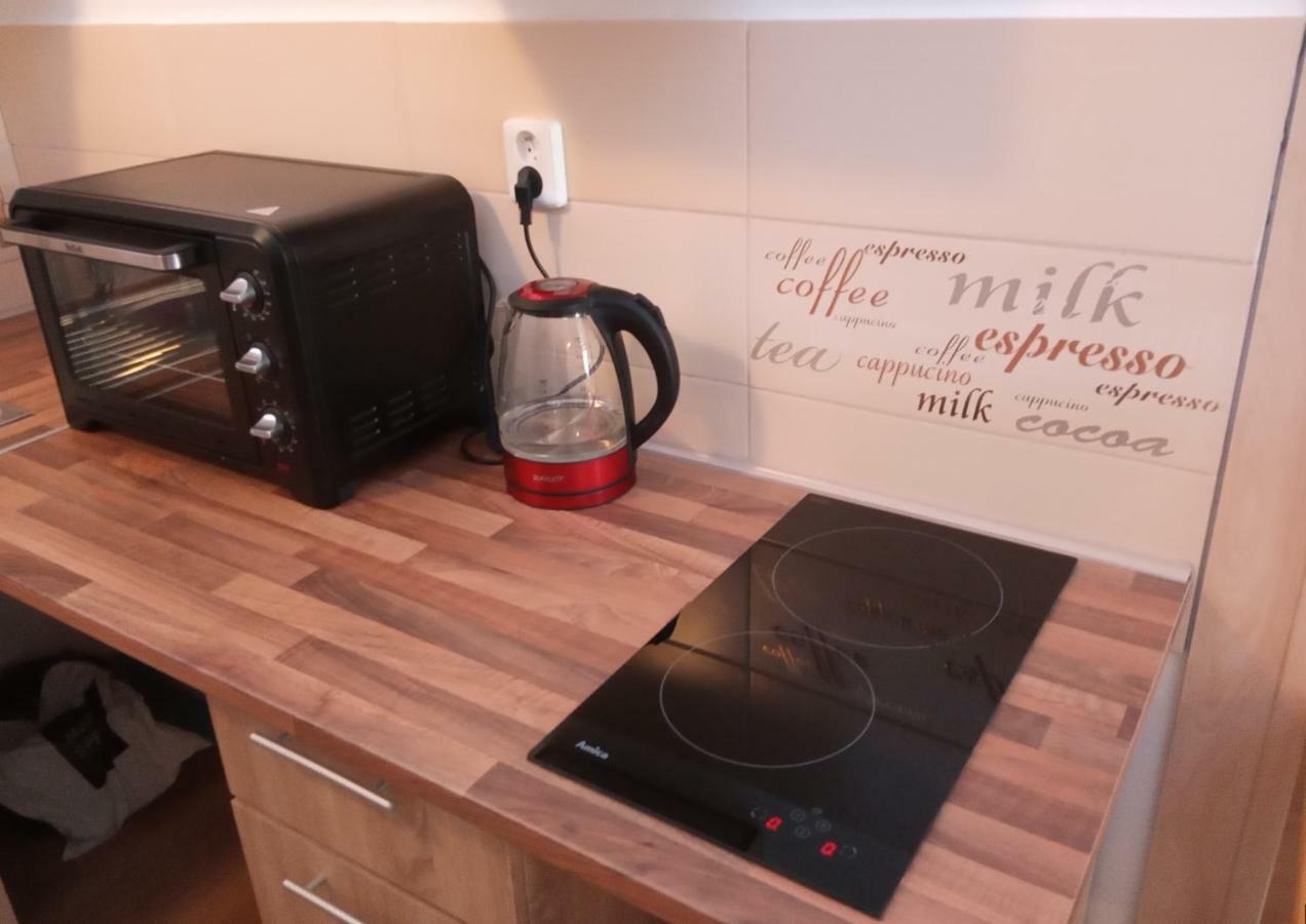 Apartment Pod Hradem Loket Zewnętrze zdjęcie